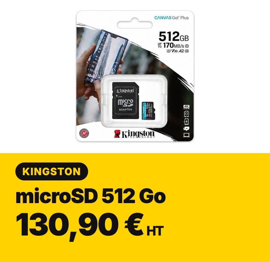 Carte microSD Kingston Canvas Go! Plus 512 Go